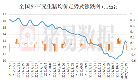 最新猪价走势解析与预测