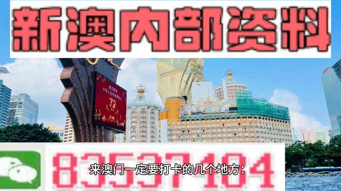 2024新澳门精准免费大全,动态调整策略执行_X版98.996