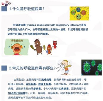 新澳门一码一肖一特一中水果爷爷,专家解读说明_SP90.818