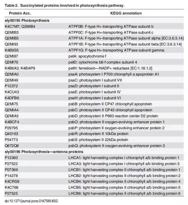 新2024奥门兔费资料,系统化评估说明_超值版92.126