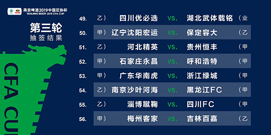 2024澳门免费精准6肖｜经典解释落实