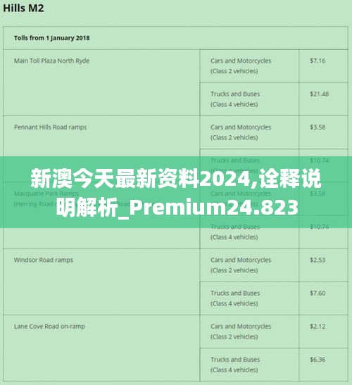 新澳2024年精准资料32期,权威评估解析_Chromebook98.932