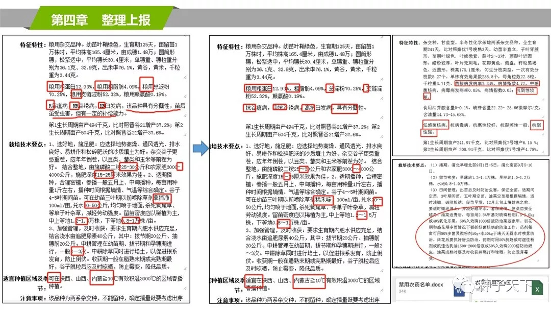 2024新澳门天天开好彩大全正版,权威解答解释定义_Advanced43.282