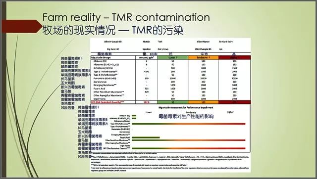 梦中的海洋