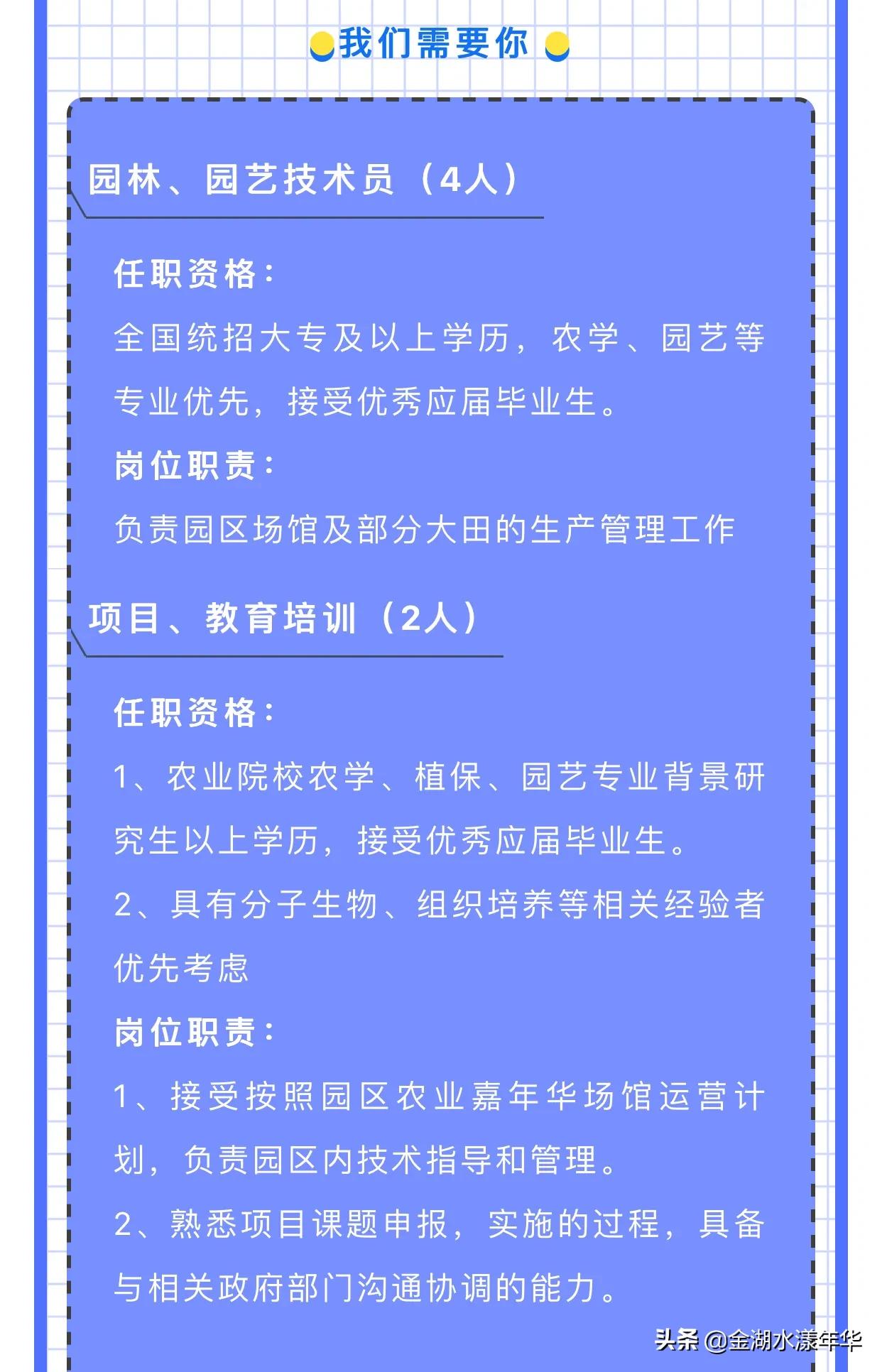 金湖县最新招聘信息全面解析