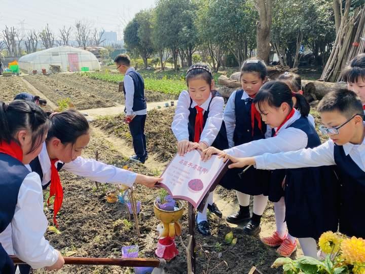 杭州下沙最新动态，城市发展与民生热点聚焦