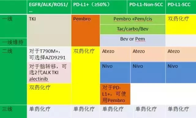 吴一龙教授，科研突破、医学领域的领导力及最新资讯概述