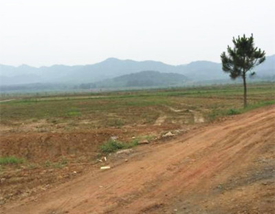 藁城土地招拍挂，城市发展的新动力