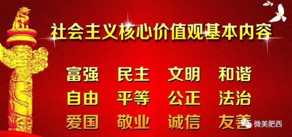 青州最新白班招聘信息详解与探讨