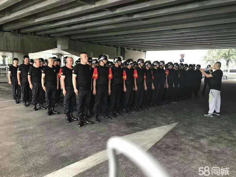 桓台押运员招聘信息详解，最新岗位空缺及要求汇总