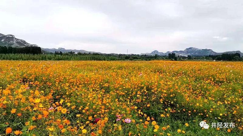 城固吧今日最新动态速递