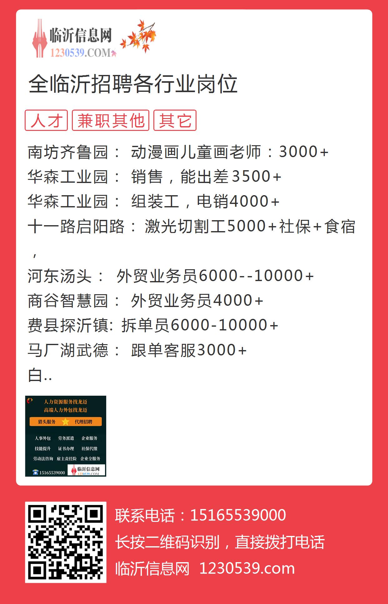 沂源招聘网最新招聘动态深度解读与解析