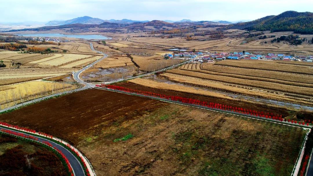 双阳区奢岭现代化新城规划引领区域新发展