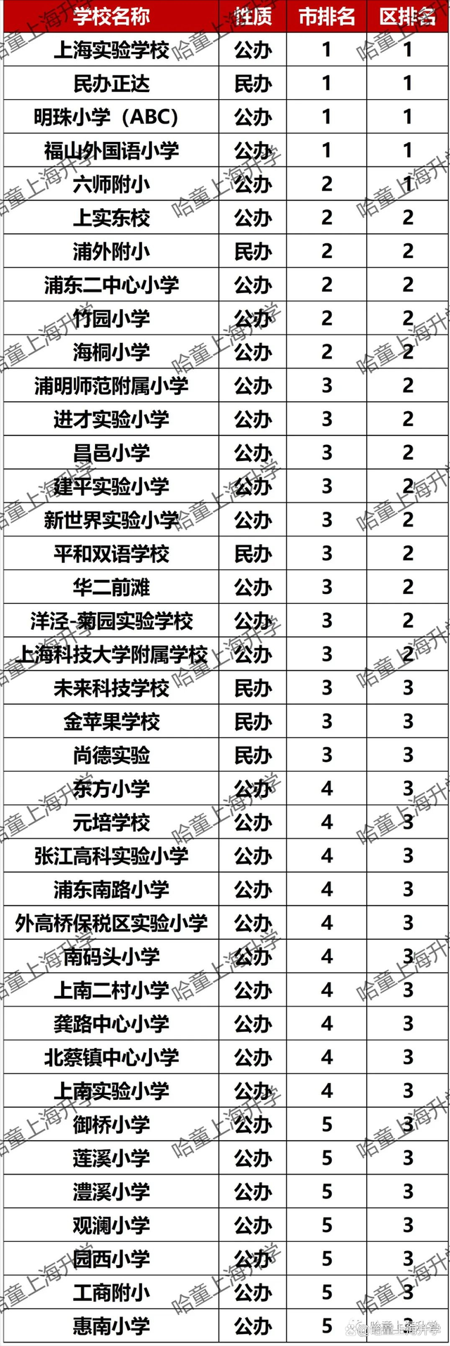 上海学区梯队重塑教育生态，引领未来教育新潮流