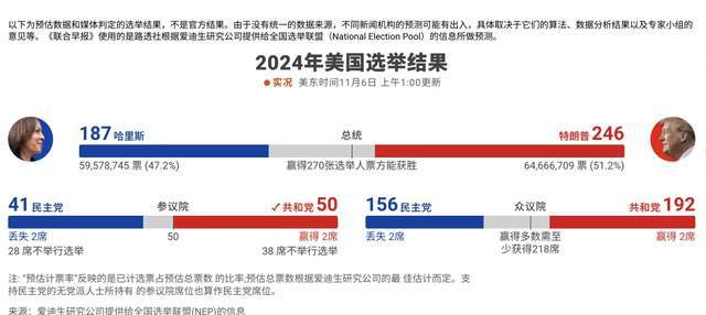 大选最新得票情况深度解析