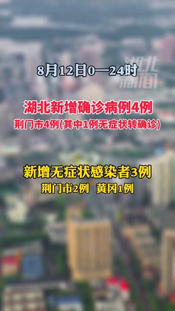 湖北疫情最新进展，持续监测与积极应对措施取得成效