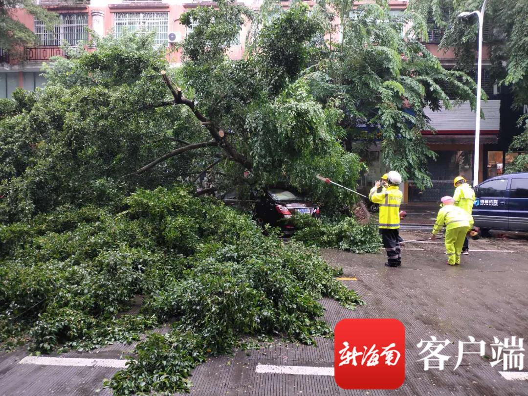 台风最新动态，直播分析、实时报道与最新信息汇总