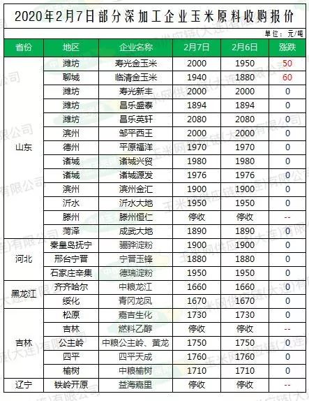 今日玉米市场最新报价与动态分析摘要